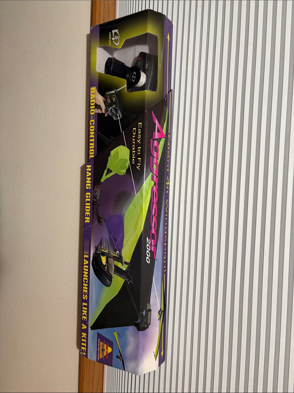 Green & Black Radio-Control Hand Glider